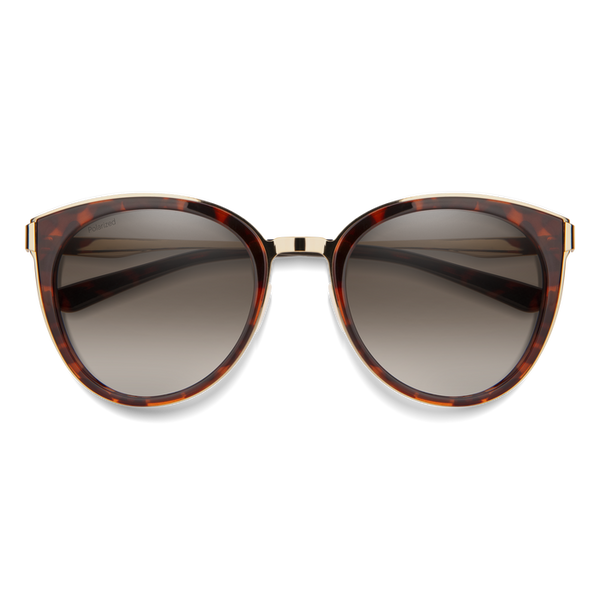 Jimmy choo best sale dana sunglasses