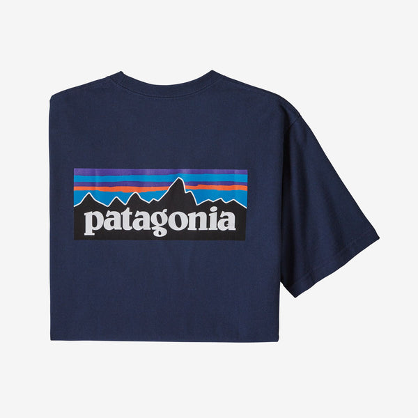 Patagonia store blue shirt