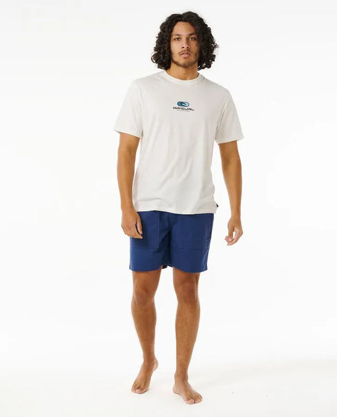 Rip Curl Mens Shorts Aloha Hotel Volley