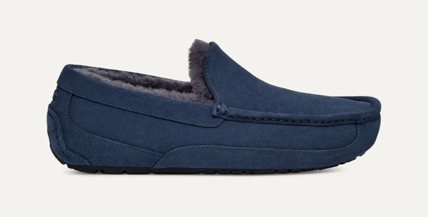 UGG Mens Slipper Ascot Suede