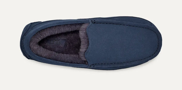 UGG Mens Slipper Ascot Suede