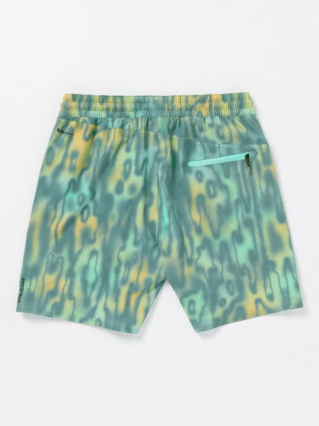 Volcom Mens Boardshorts Frickin Ascender