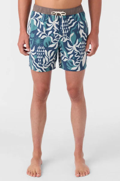 Oneill Mens Boardshorts OG Volley