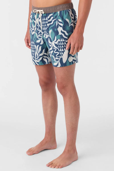 Oneill Mens Boardshorts OG Volley