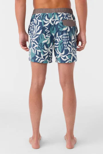 Oneill Mens Boardshorts OG Volley