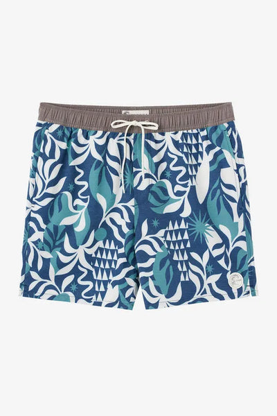 Oneill Mens Boardshorts OG Volley