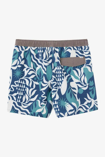 Oneill Mens Boardshorts OG Volley