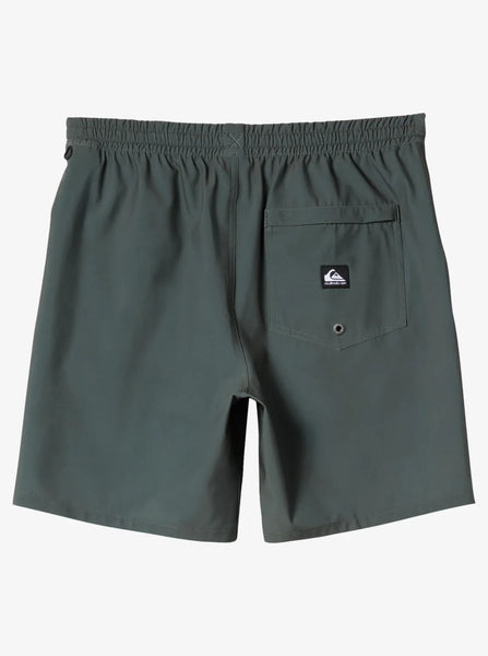 Quiksilver Mens Shorts Taxer Amphibian 18