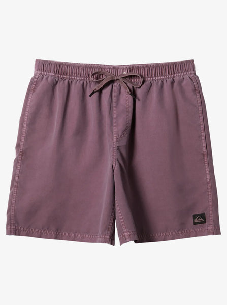 Quiksilver Mens Shorts Everyday Surfwash Volley 17