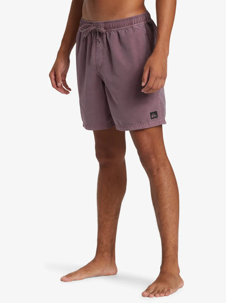 Quiksilver Mens Shorts Everyday Surfwash Volley 17