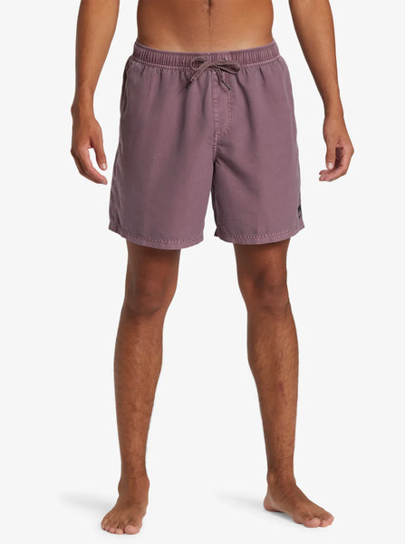 Quiksilver Mens Shorts Everyday Surfwash Volley 17