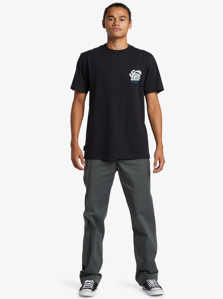 Quiksilver chino online