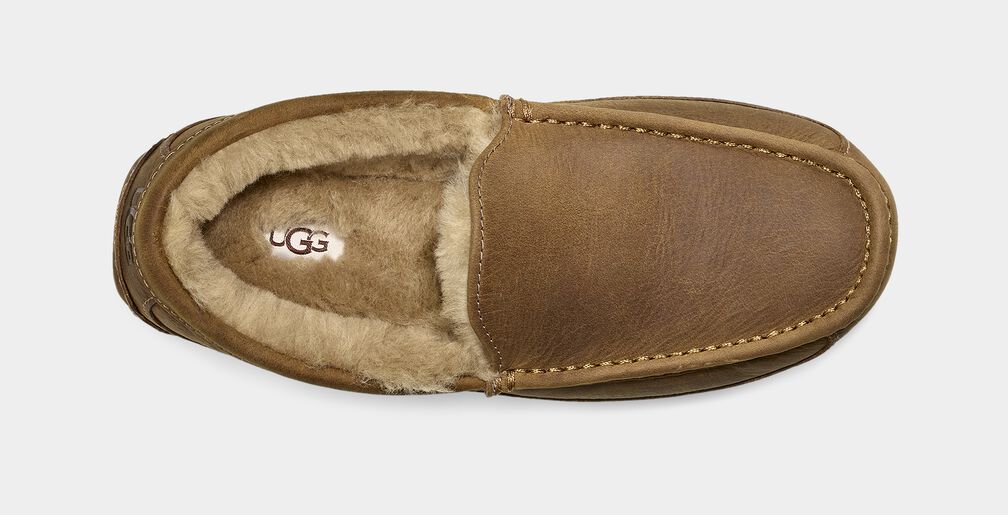 Leather fashion mens ugg slippers