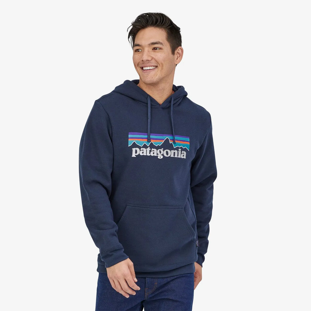 Patagonia p6 hoodie grey hotsell