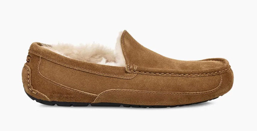 UGG Mens Slipper Ascot Suede