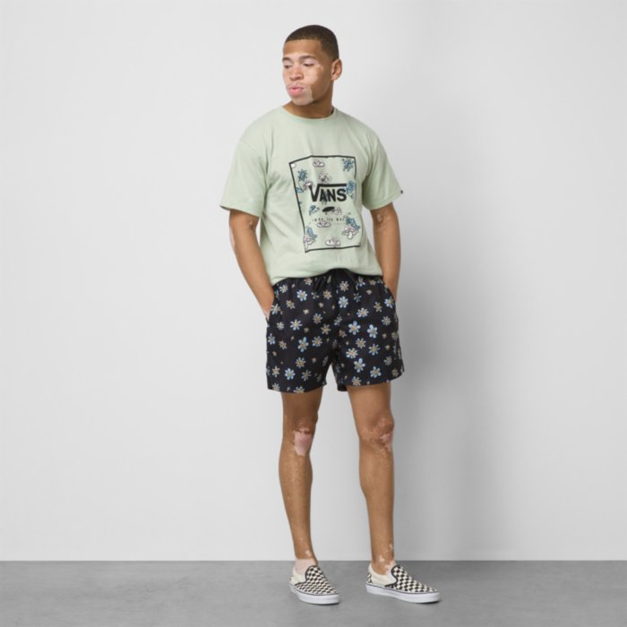 vans castaway shorts